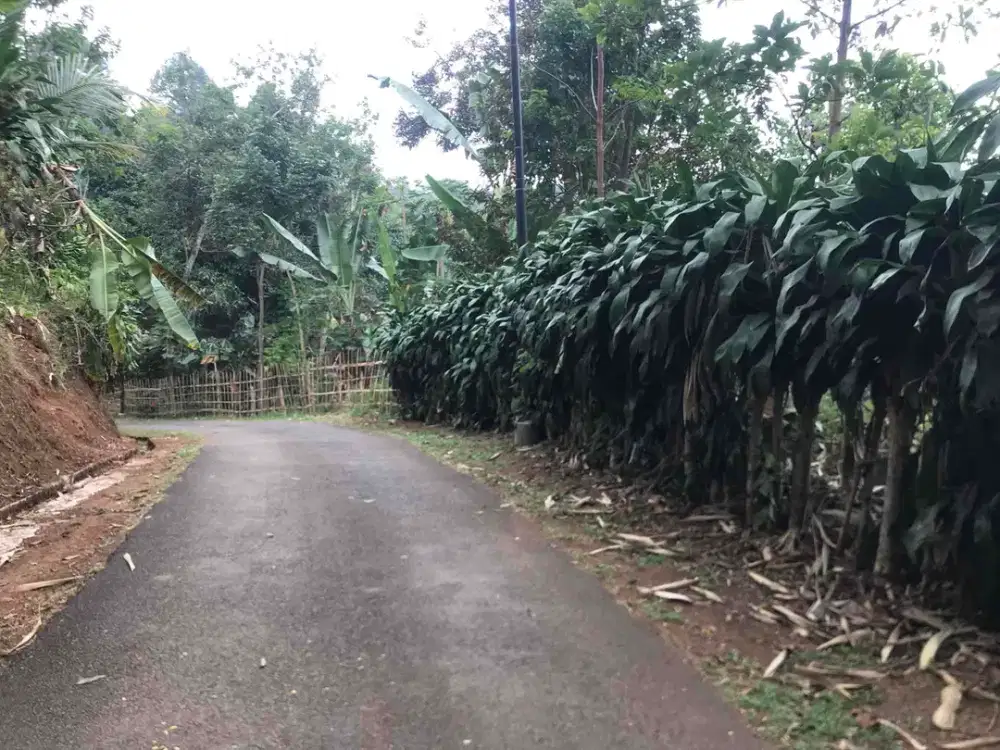 Di Jual Kebun&Sawah Produktif,Pinggir Jln Mobil