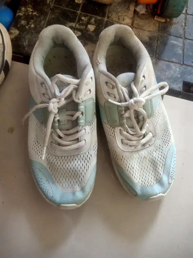 sptu uk 36 airwalk