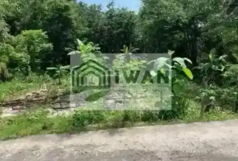 Tanah Pekarangan Luas & Murah Belakang Ada View Sawahnya