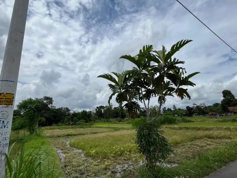 Dijual Tanah Sawah Cocok untuk Villa atau Hunian Lokasi di Jln Palagan