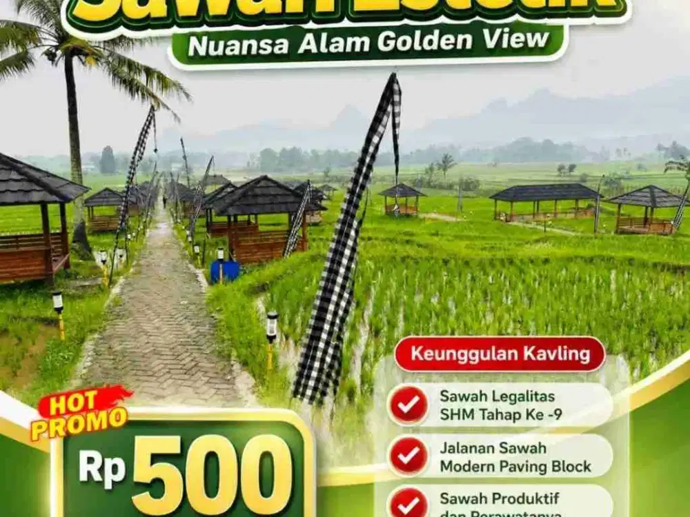 kavling sawah hasil melimpah