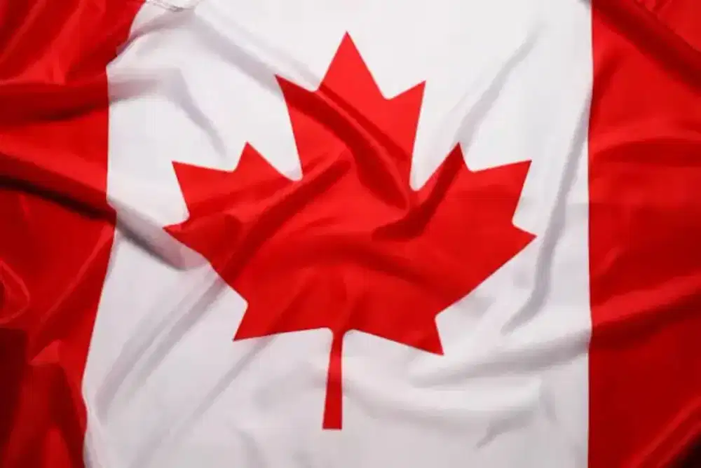 MURAH!!! Nomor Canada Virtual Luar Negeri Untuk Daftar W/A - No Spam