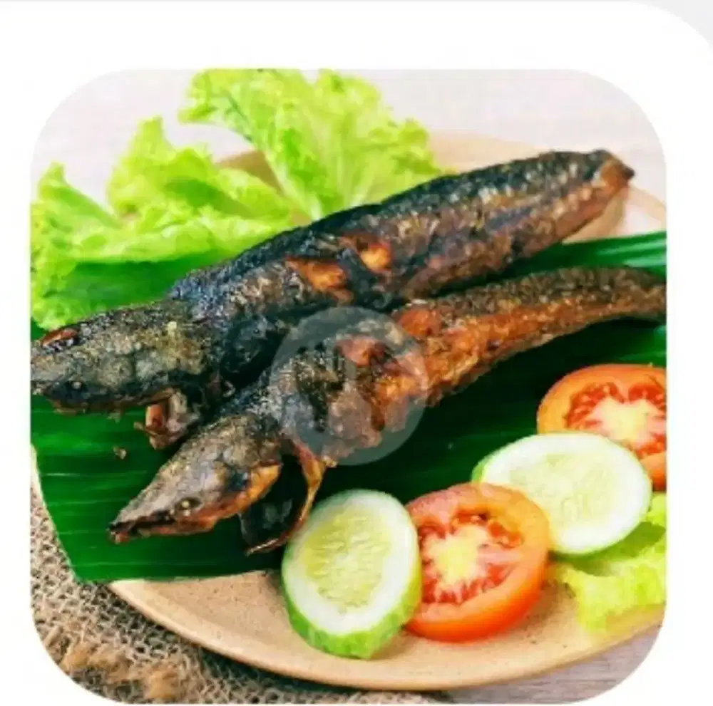 Dicari Karyawan Untuk Warung Lalapan