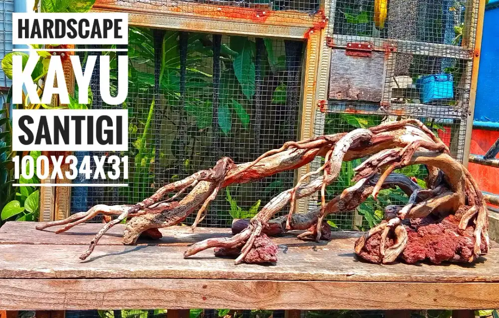 KAYU HARDSCAPE SANTIGI LAUT RAKITAN DEKORASI AQUARIUM