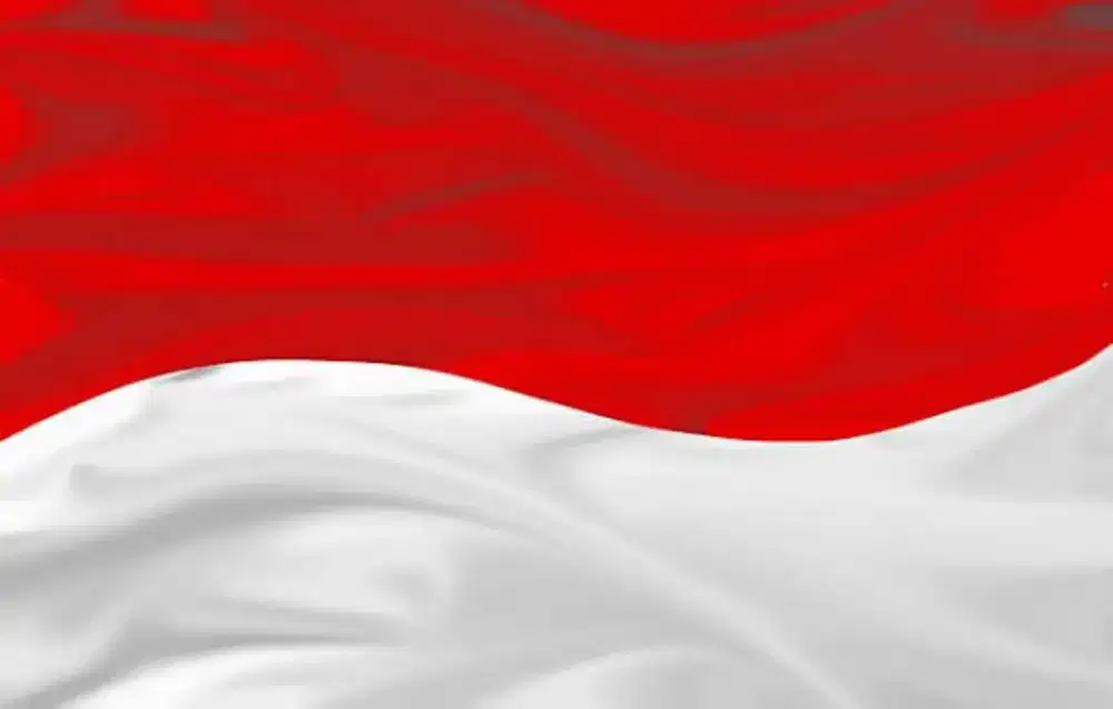 MURAH!! Nomor Indonesia Virtual Luar Negeri Untuk Daftar W/A - No Spam