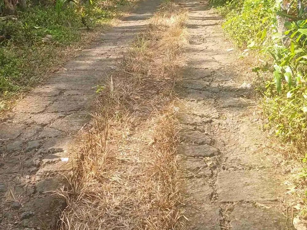 Dijual Tanah Kebun