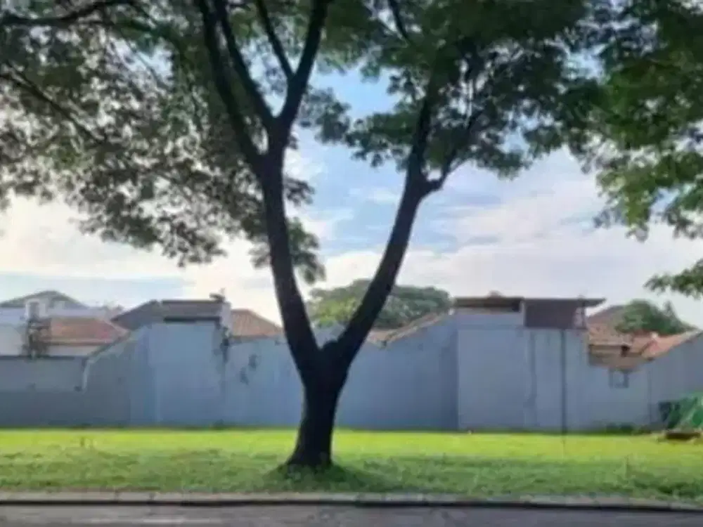 Tanah Kavling Citragran Cibubur