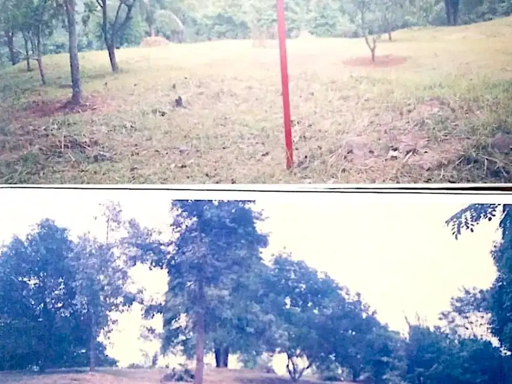Tanah Kavling di Cariu Indah Jonggol Tempat Berkebun dan Bertani [Cariu-Bogor]