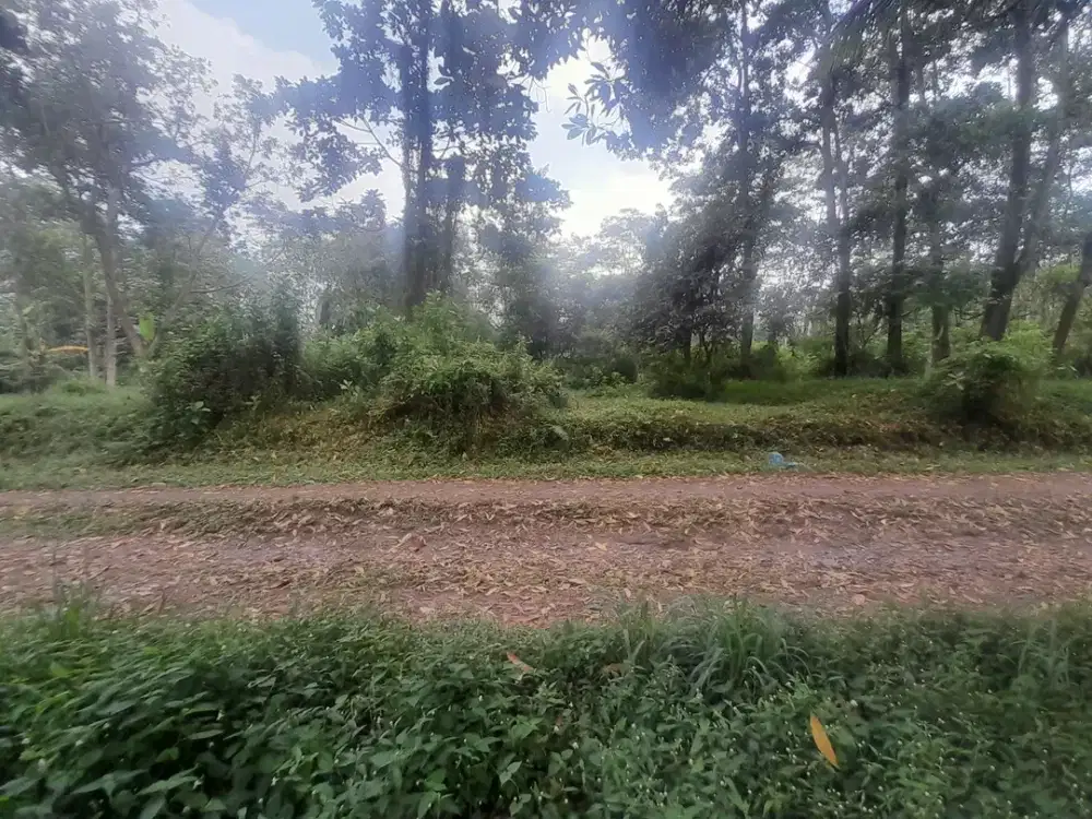 Jual Tanah Pekarangan Murah Di Cangkringan Hanya 350 Ribu-an, Cocok  Untuk Investasi