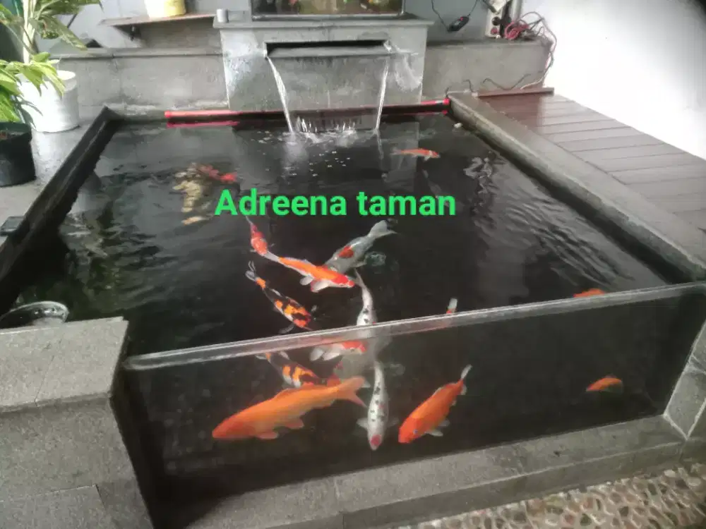Kolam koi minimalis,