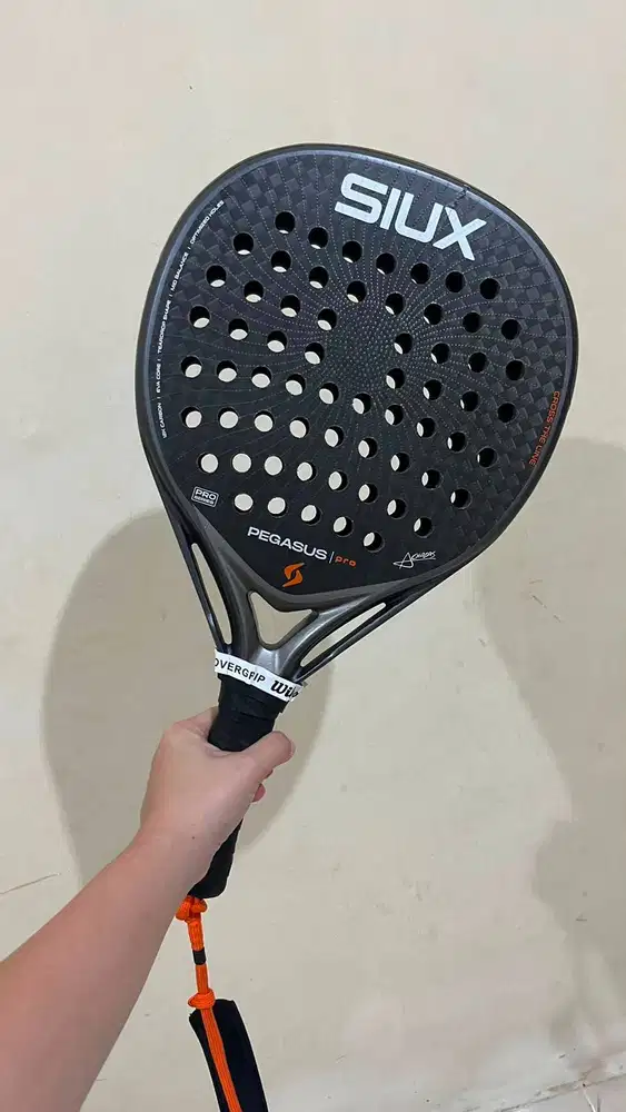 Siux Pegasus pro — kondisi crack di frame (lihat foto), masih playable