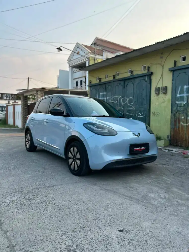 Binguo premium range 410 km
