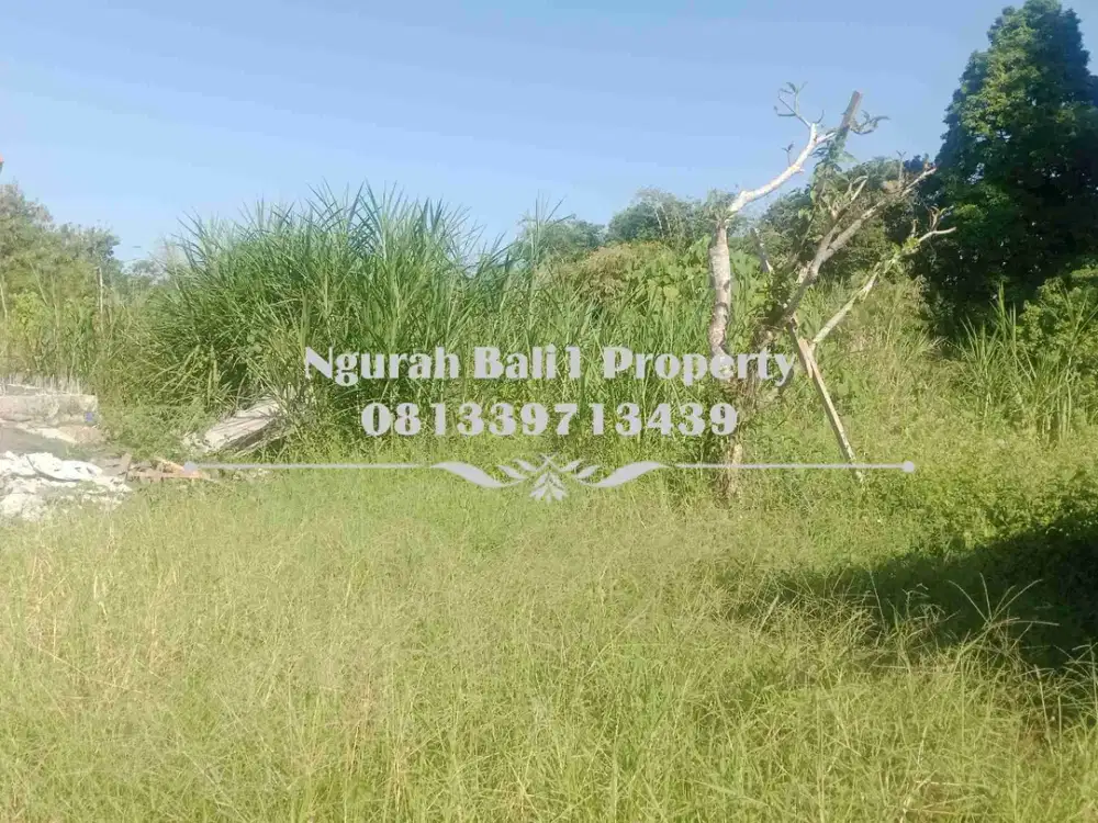 Tanah Dijual Murah Luas 200 m2 Kawasan Villa di Ubud
