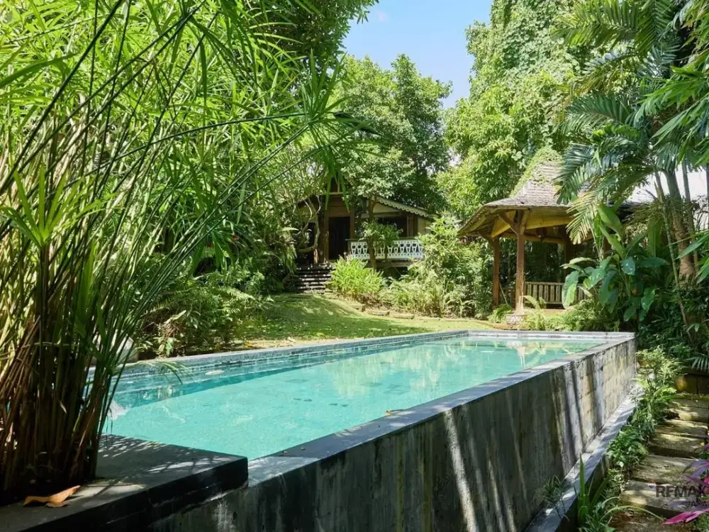 Tanah bonus villa Dijual lokasi Premium Zona Campuran di Canggu