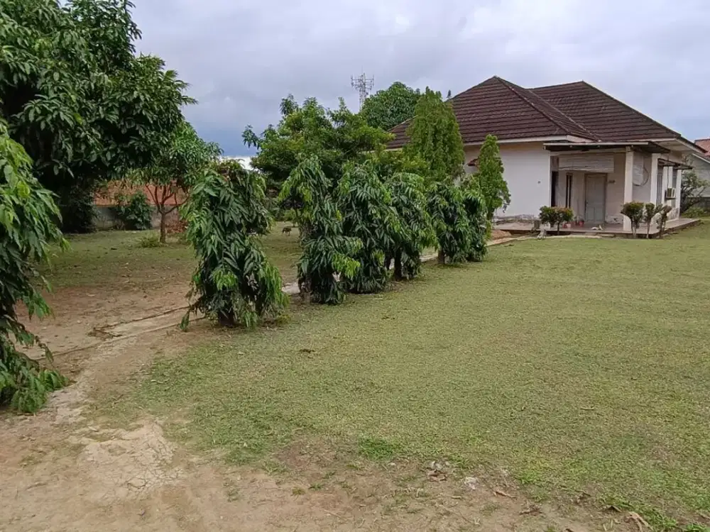 Dijual Lahan Siap Bangun Jalan AMD kebun bunga Sukarami Palembang