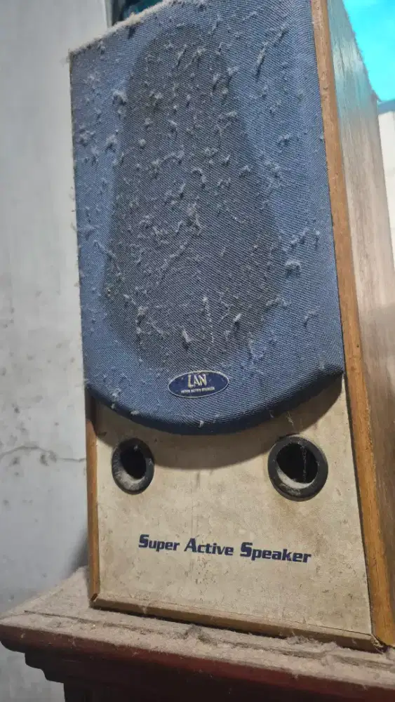 Jual Speaker Active
