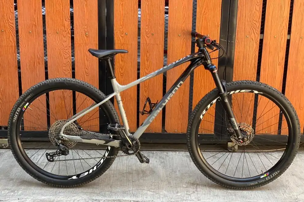 Polygon Xtrada 7 2025