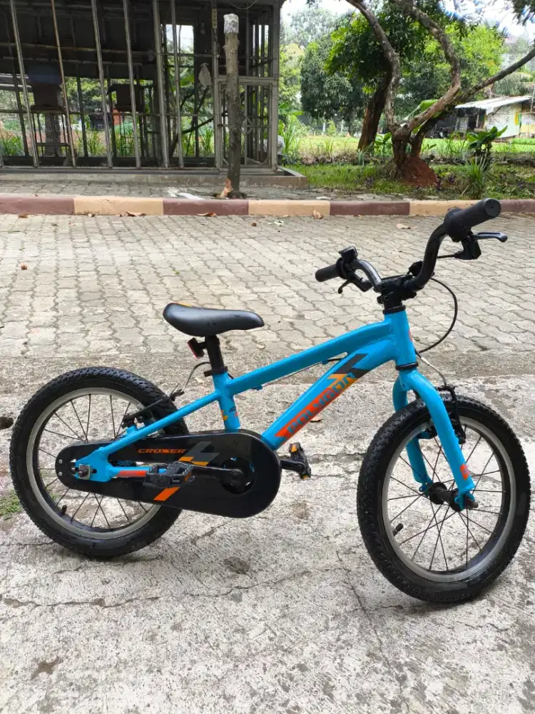 Sepeda anak masih bagus