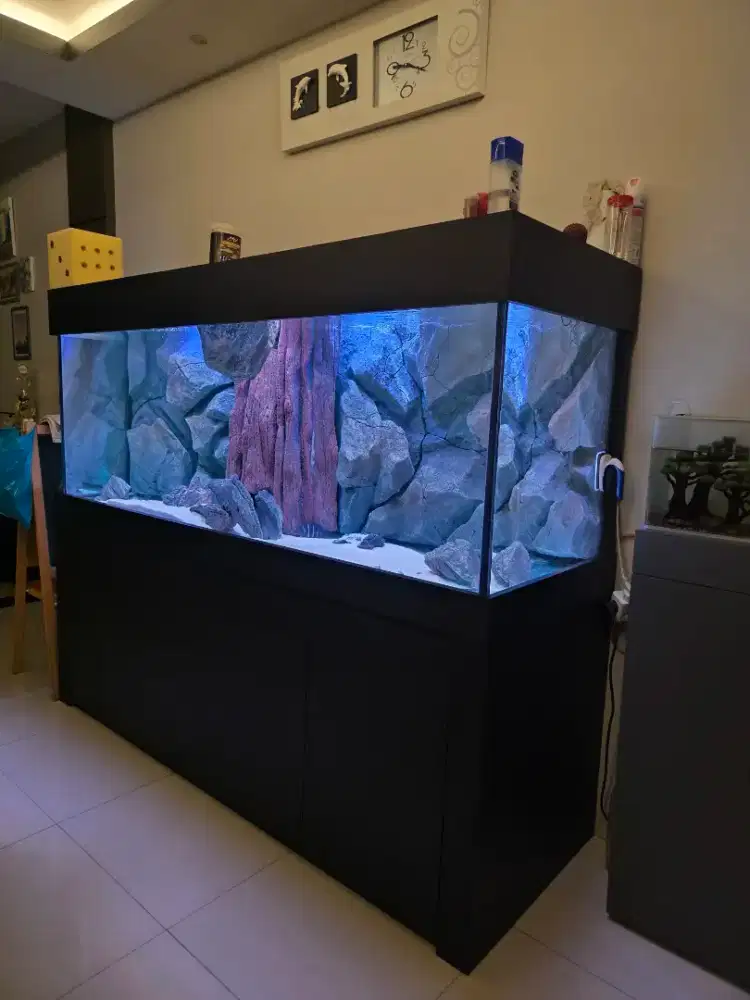 Aquarium + Kabinet 2 Meter Preloved