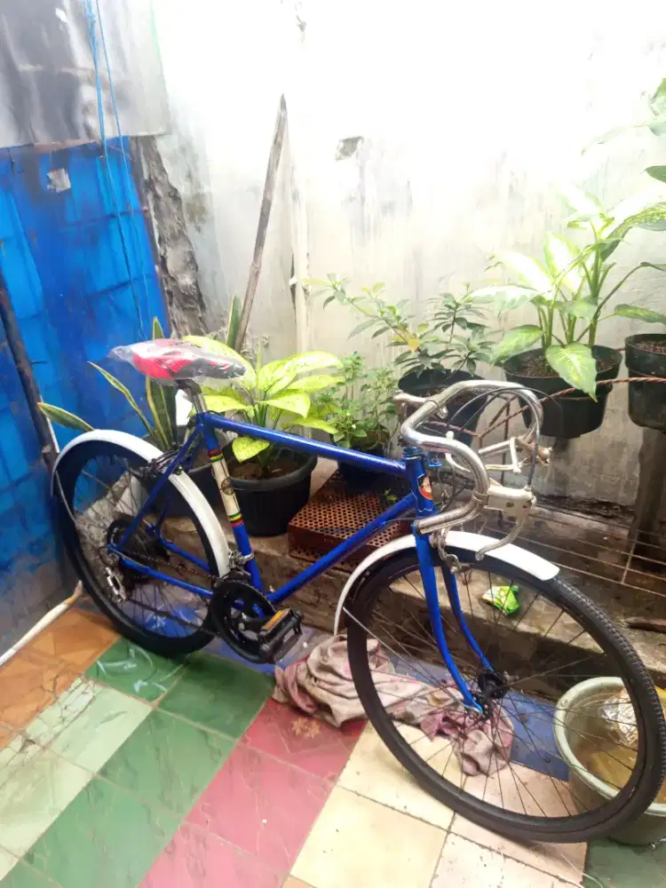Sepeda balap 24