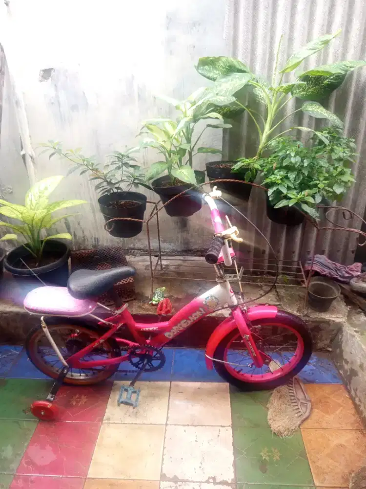 Sepeda anak anak
