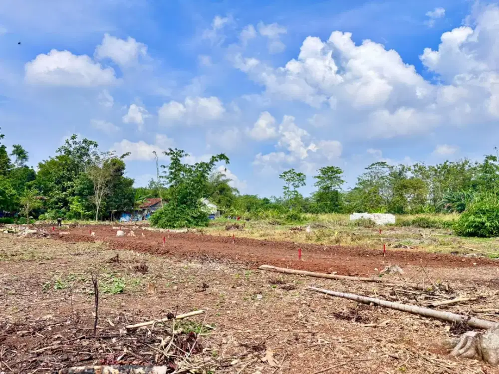 Mulai 1 Jt-An Tanah Kavling Hunian & Invest Cisauk. Dekat Tol Serpong