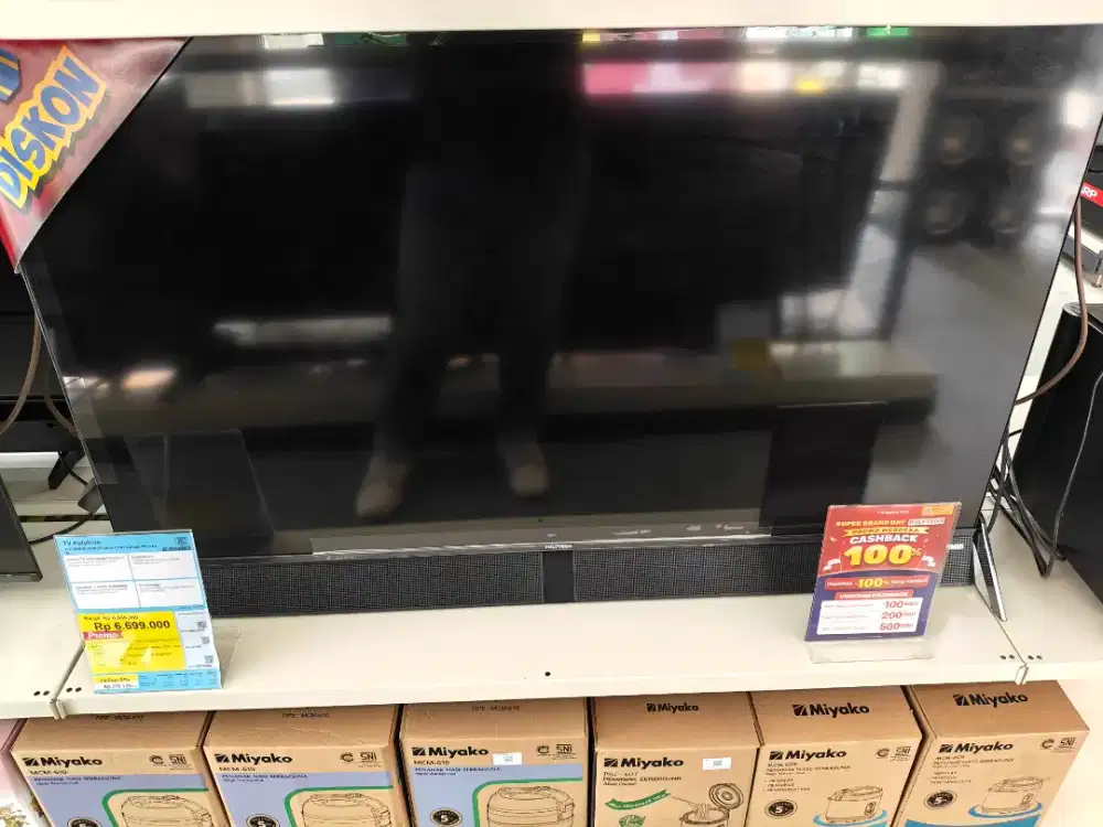 TV POLYTRON 50INC