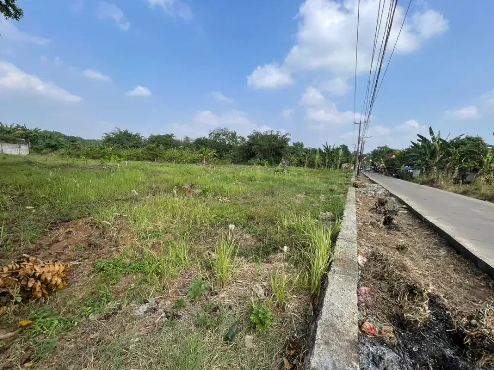Tanah Murah SHM di Cisauk - Pinggir Jalan Strategis Invest/Hunian - 10 Menit Stasiun Jatake