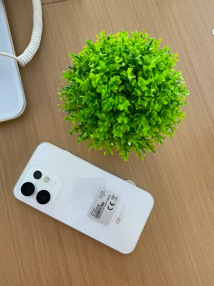 Oppo Reno 16 5g
