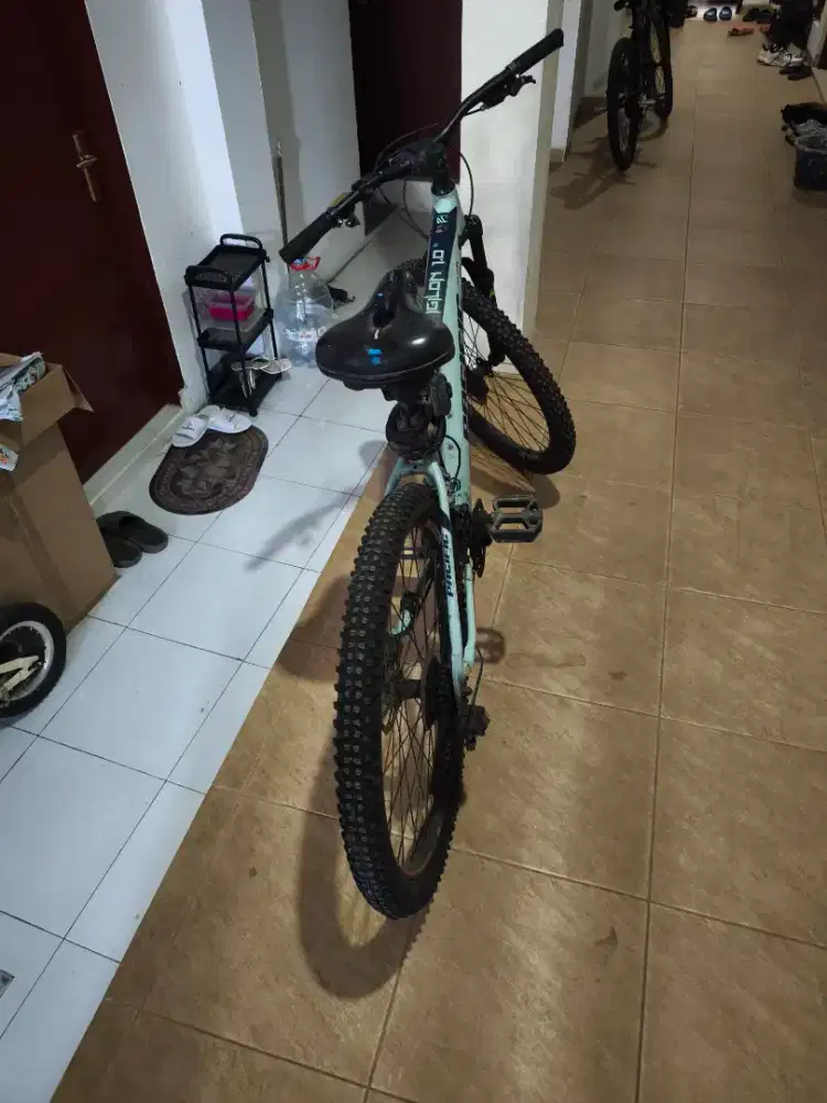 Sepeda Vigilon 1.0 Pasific