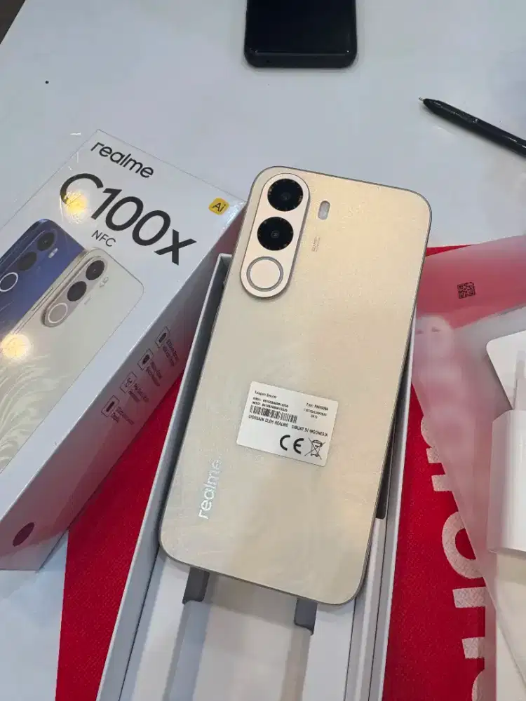NEW REALME C100X