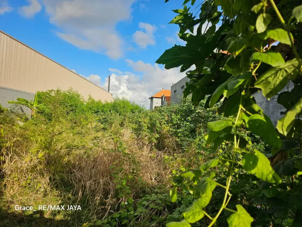 Tanah Komersial 12 Are Dijual di Area Benoa Nusa Dua