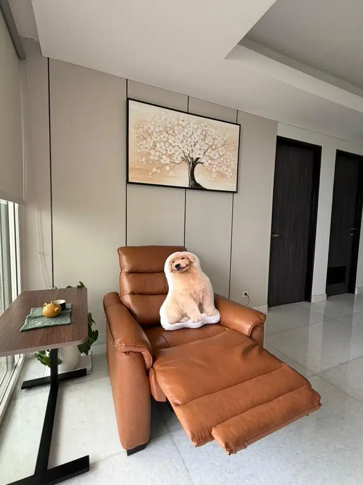 Electric Sofa Leather Believa reclining