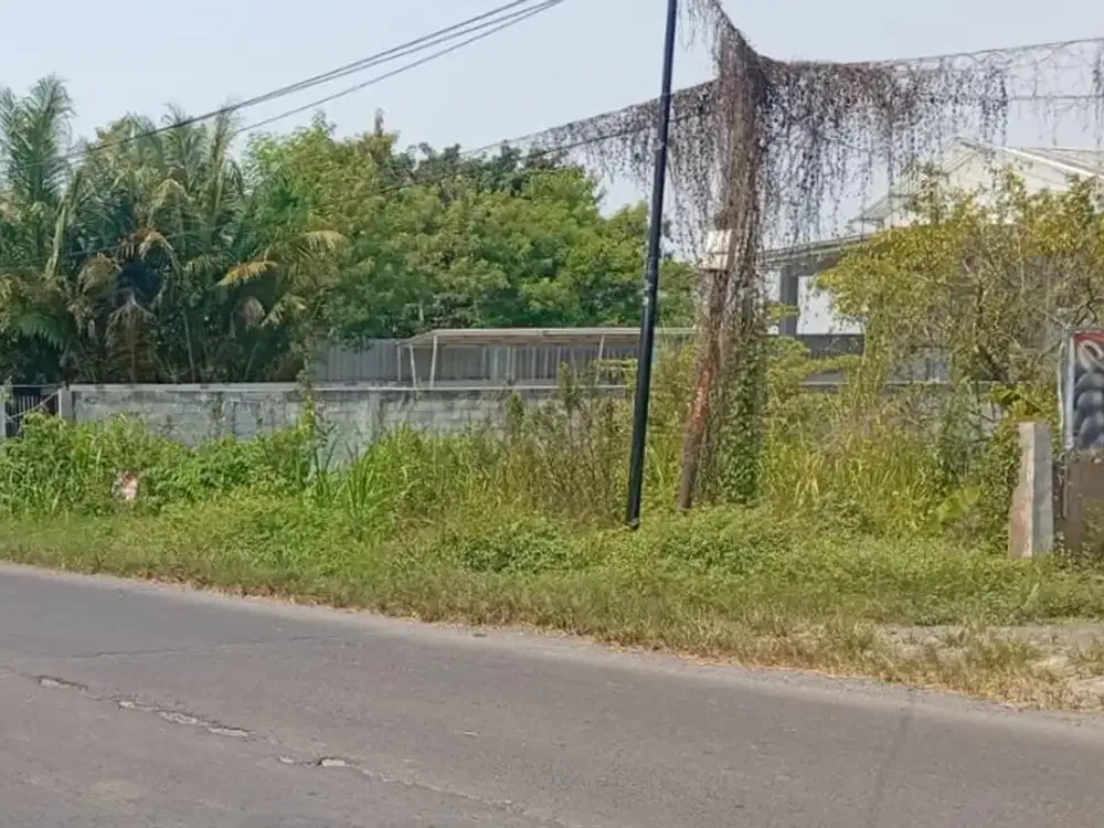 Jual Lelang Tanah Murah di Raya Kedung Rukem Gresik Row Jalan Lebar Cocok Untuk Industri