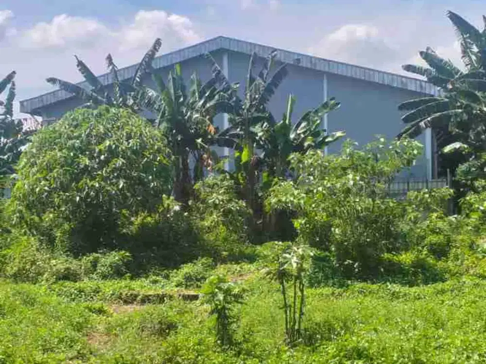 Tanah Industri Atau Gudang Luas 3210m Gunung Sindur Bogor