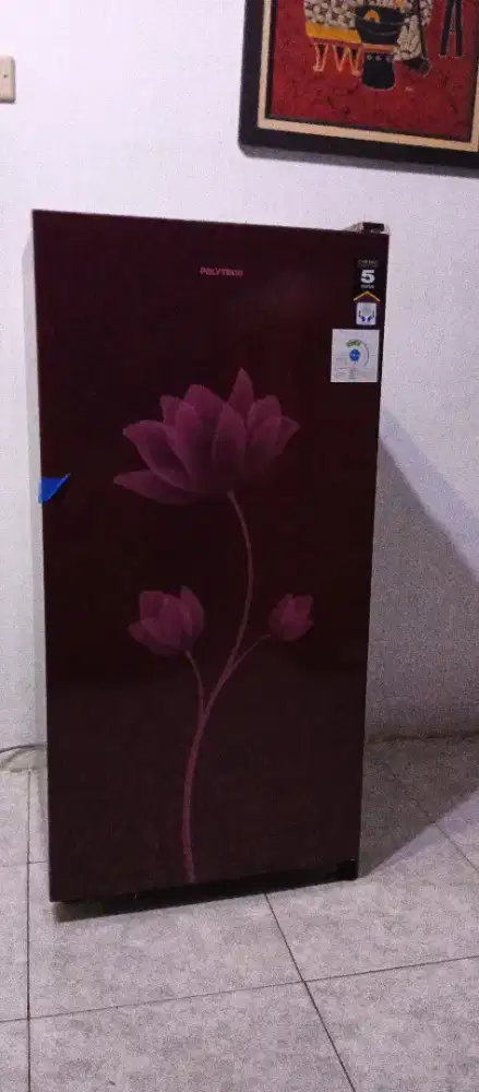 Jual kulkas Polytron 1 pintu