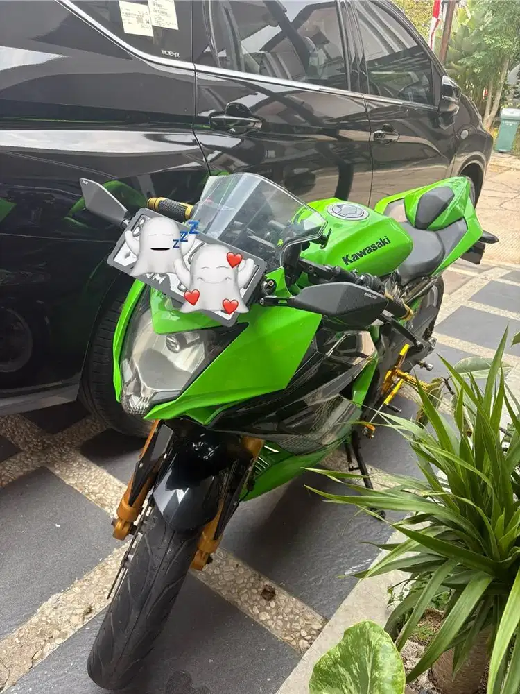 Ninja 250 SL Mono Livery KRT