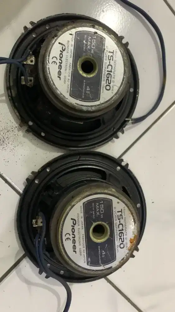 Speaker pioneer