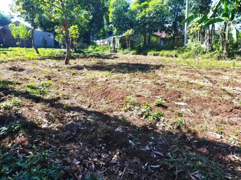 Dijual Tanah Luas Harga Terjangkau di Ciparay Cocok Investasi atau Bangun Rumah