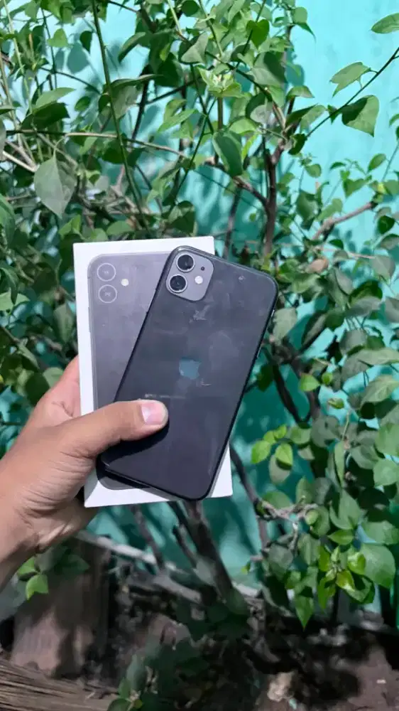 iphone 11 basic 64