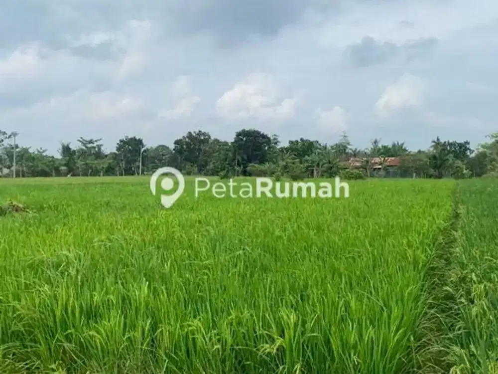 DIJUAL 2 BIDANG TANAH JALAN PANCASILA PAYA GAMBAR - DAERAH BATANG KUIS (ELVIA)