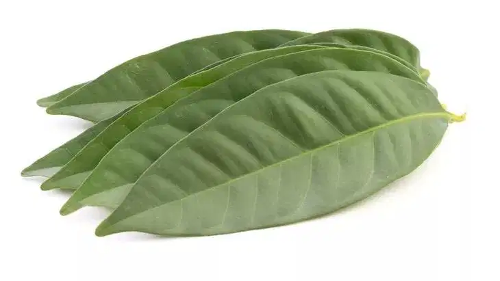 Daun salam & daun pandan fresh 100gr