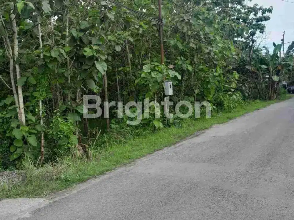 Tanah Luas 3.228 mt Mangku Aspal Bantul Yogya