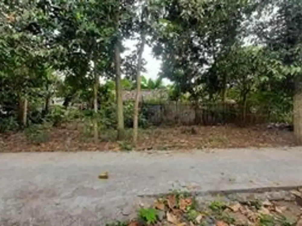 Tanah SHM Pekarangan Siap Bangun di Tlogoadi