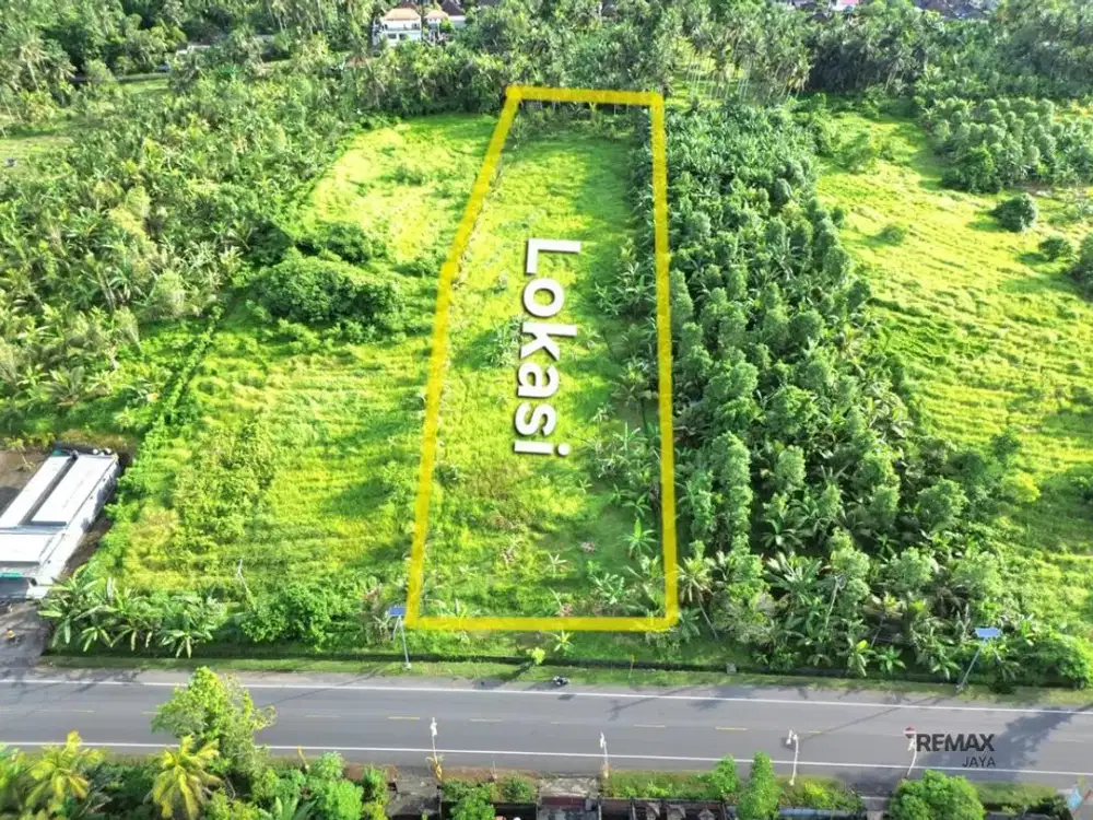 Tanah Komersial 56,25 Are Pinggir Jalan Utama Dijual di Jembrana