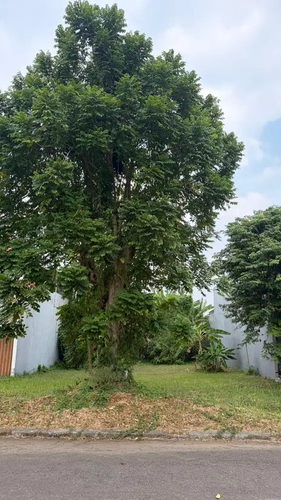 Dijual Kavling di Alam Sutera 5mnt ke Living world
