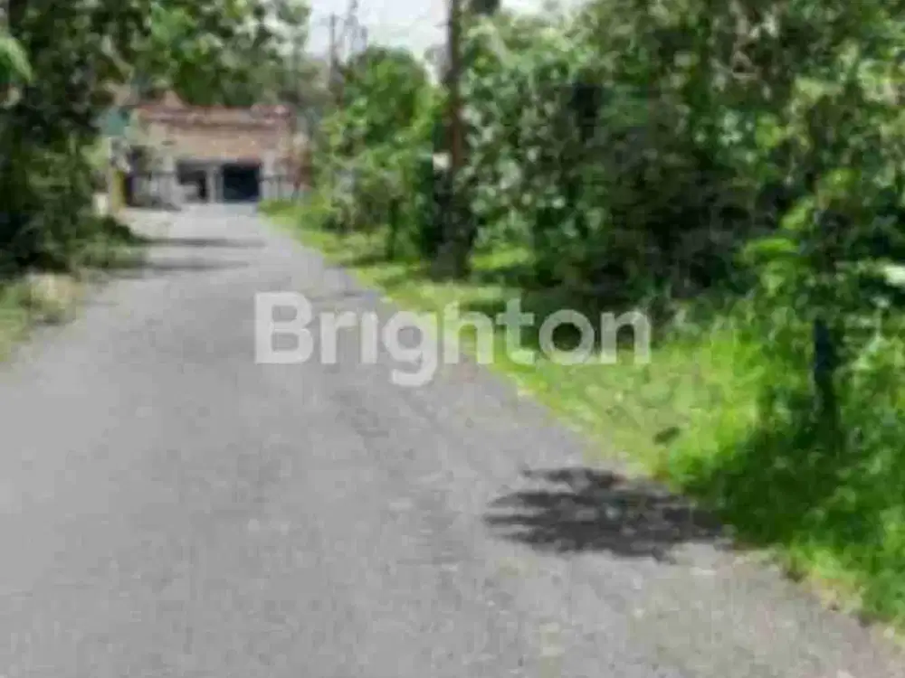 Tanah 443 Meter Datar Akses Aspal Bantul Yogya