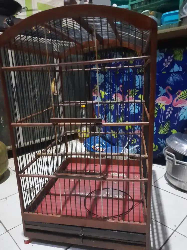 Kandang no 2 kayu jati masih sangat layak pakai