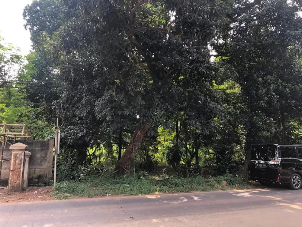 DIJUAL Tanah Padat di Purwodadi (Desa belendung - Wanakerta) Kabupaten Subang kawasan industri cocok untuk pabrik dan pergudangan