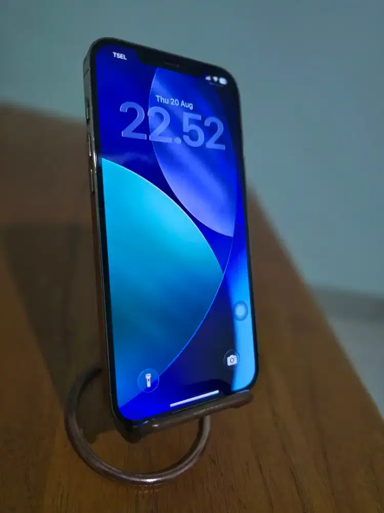 Iphone 12 Pro Max 512Gb